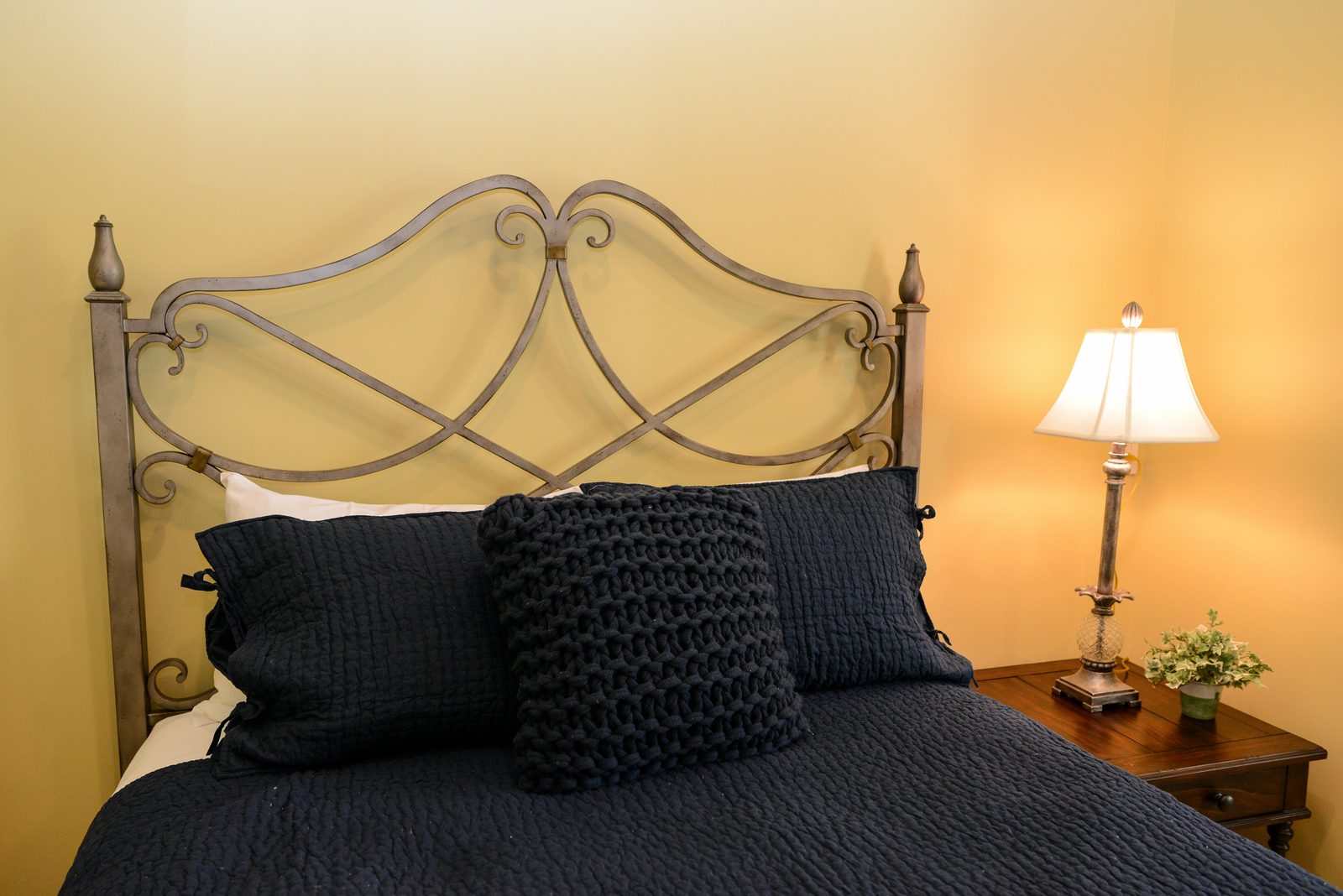 A guest room with an iron bed dressed in navy linens, a lamp and a nightstand (view 9)