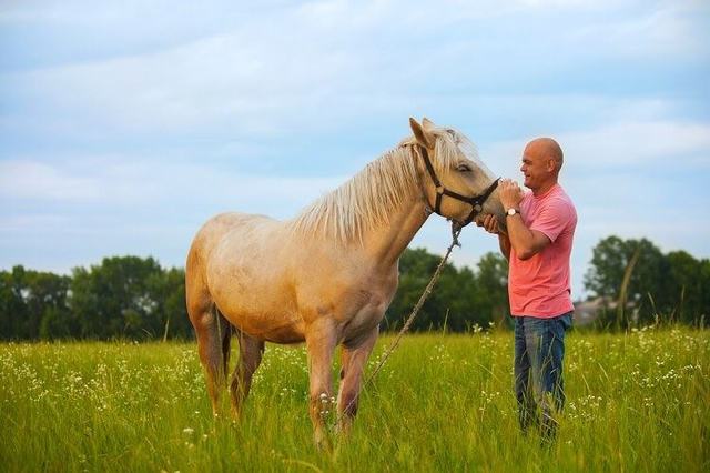 How Equine Therapy at Silver Ridge Works | Why Choose Silver Ridge?