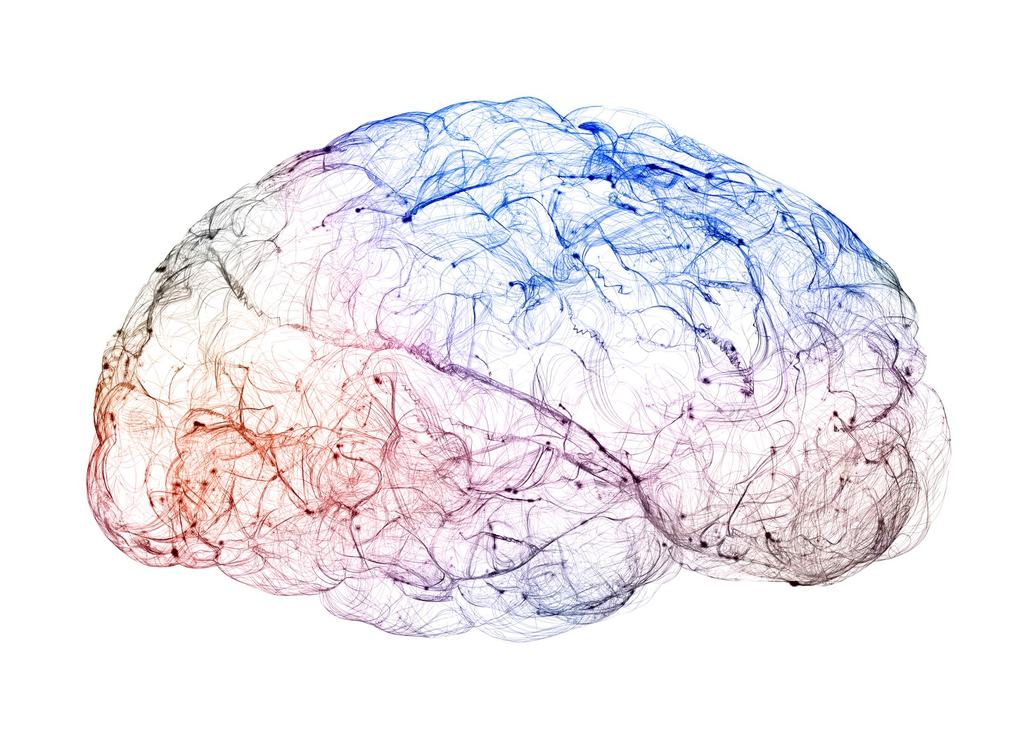 How to Rewire Your Own Brain and Why It’s Worth It | Why Choose Silver Ridge?