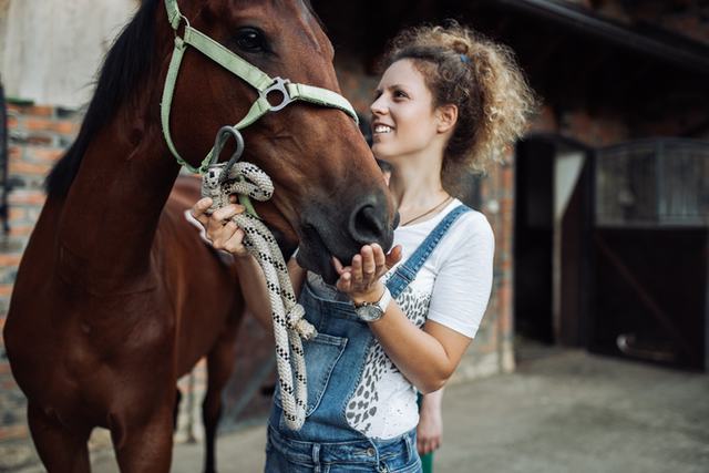 What is Equine Therapy? | Why Choose Silver Ridge?