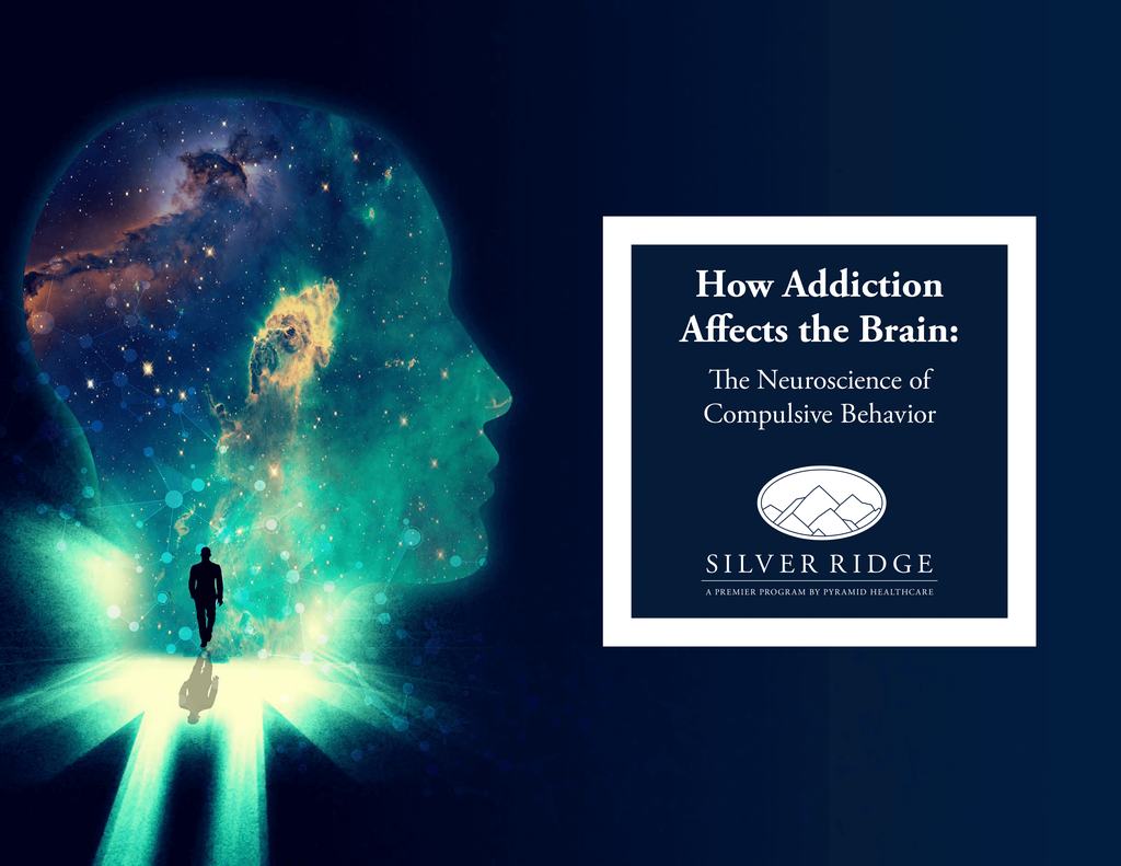 How Addiction Affects the Brain: The Neuroscience of Compulsive Behavior | Why Choose Silver Ridge?