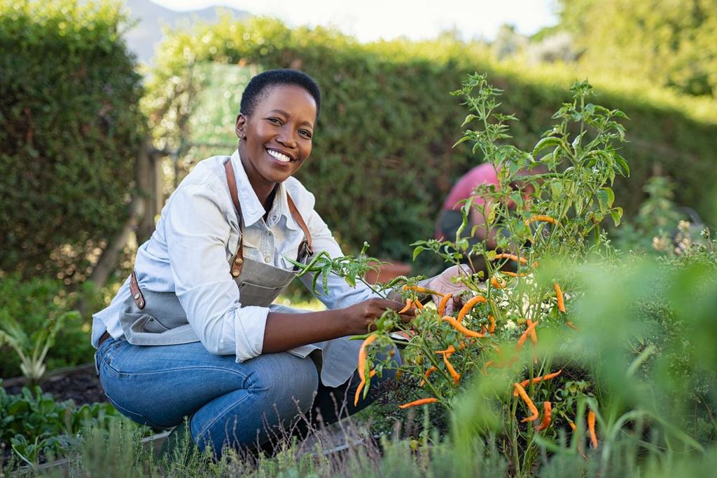 When Medical Detox May Be Necessary | Why Choose Silver Ridge?